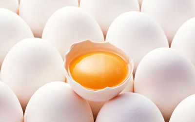 Πρωτεΐνη αυγού
