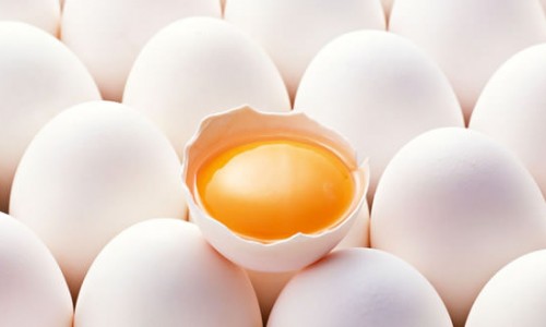 Πρωτεΐνη αυγού