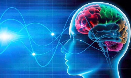 Ο Εγκέφαλος Θα Λειτουργεί 100%. ΤΡΟΦΕΣ Για Τον Εγκέφαλο & Μνήμη!