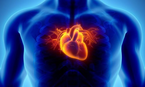 99% Αυτά Εκφυλίζουν Την ΚΑΡΔΙΑ! + Τι Πρέπει Να Κάνετε