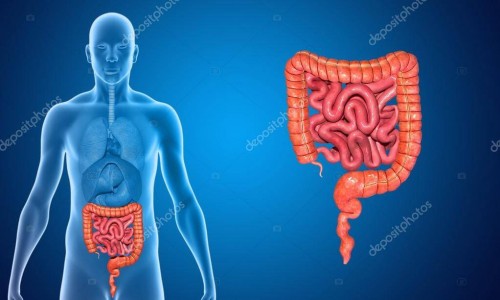 Πως Καταστρέφουμε Τα Έντερά Μας; 10 Συνήθειες Που Πρέπει Να Ξεχάσετε!