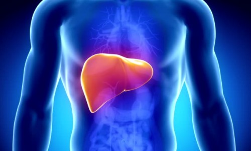 Τροφές Που Αποτοξινώνουν Το Συκώτι