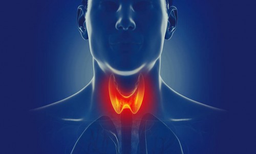 100% Απαραίτητες Τροφές Για Τον Θυρεοειδή, Που Μειώνουν Το Ρίσκο Παθήσεων!