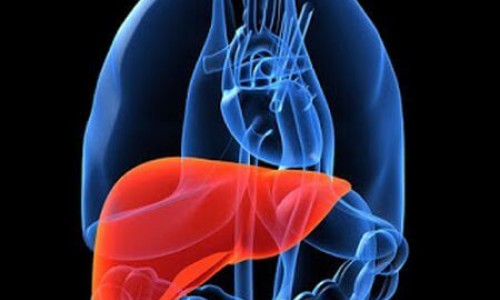 Γεια σας... είμαι το συκώτι σας!