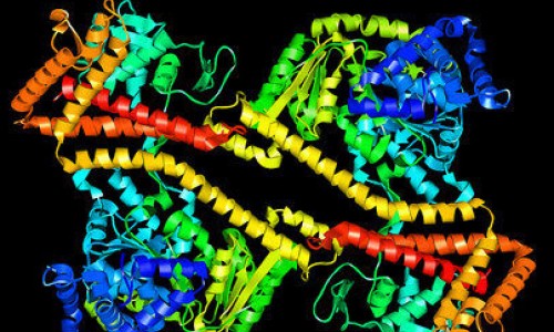 Πρωτεΐνη ορού γάλακτος (Whey Protein)