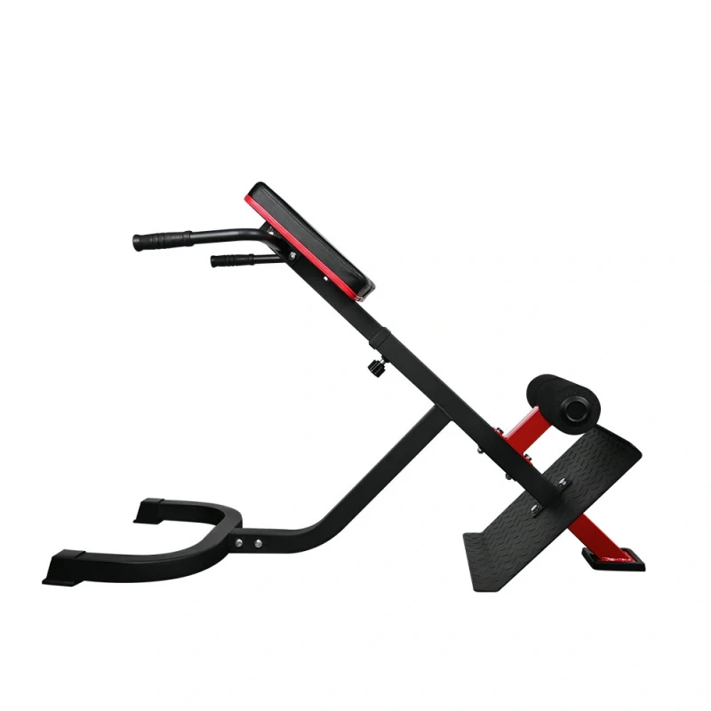 Πάγκος Ραχιαίων 45 μοιρών X-FIT 84