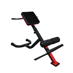 Πάγκος Ραχιαίων 45 μοιρών X-FIT 84