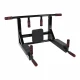 Wall Mounted Pull Up Bar /Dip Station