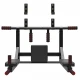 Wall Mounted Pull Up Bar /Dip Station