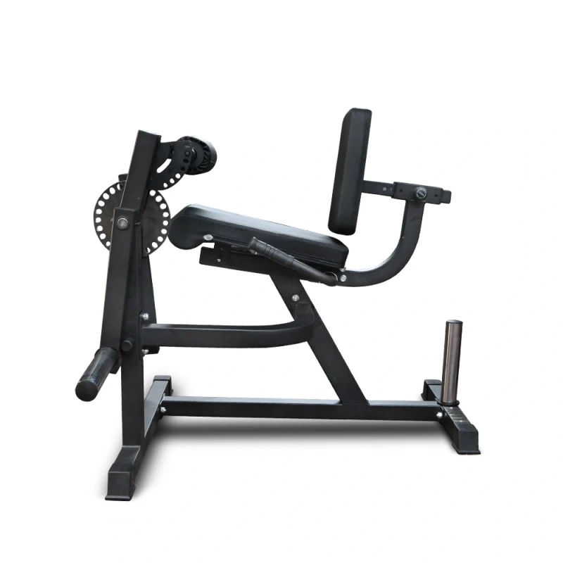 Leg Extension & Seated Curl Machine (X-FIT)