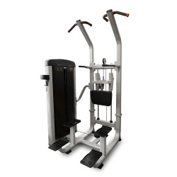 Assist Dip Chin (X-FIT)