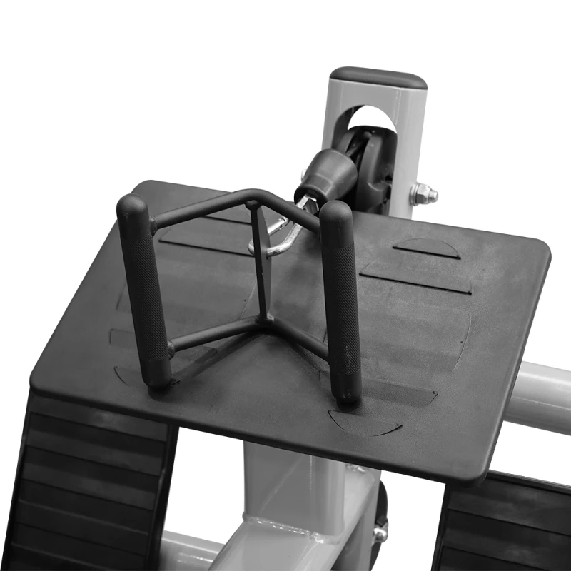 Low Row (X-FIT)
