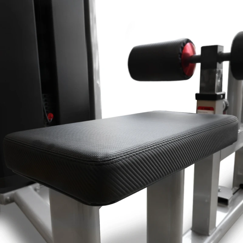 Lat Pull Down (X-FIT)