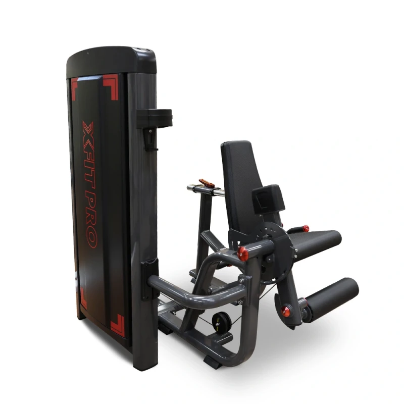 Leg Extension (X-FIT)