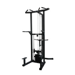 Assisted Dip Machine and Pull-Up station (X-FIT)