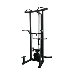 Assisted Dip Machine and Pull-Up station (X-FIT)