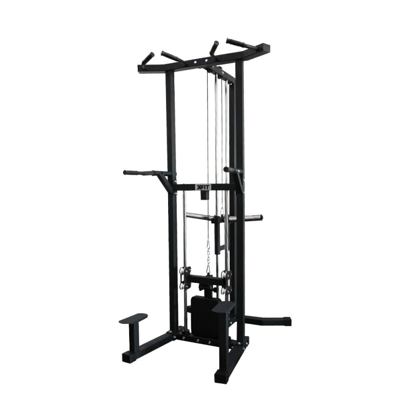 Assisted Dip Machine and Pull-Up station (X-FIT)
