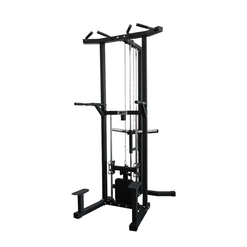 Assisted Dip Machine and Pull-Up station (X-FIT)