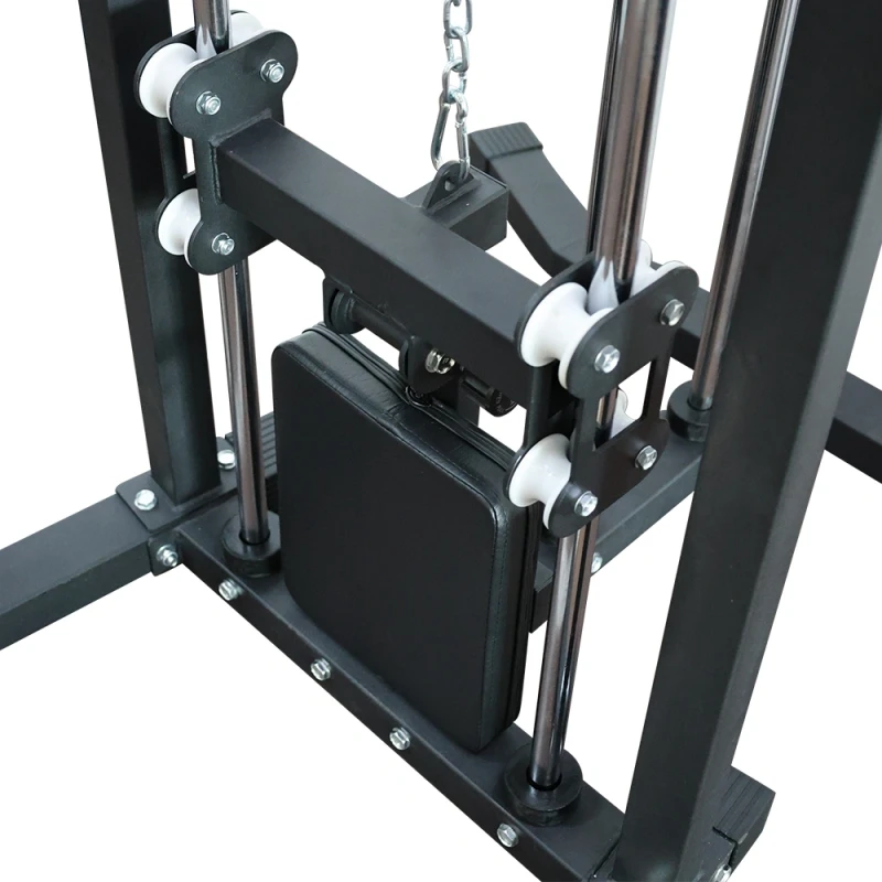 Assisted Dip Machine and Pull-Up station (X-FIT)