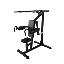 Shoulder Press and Lateral Machine (X-FIT)