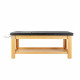 Physio Massage Bed (Alpha Pilates)