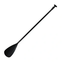 Single Paddle (Homathlon)