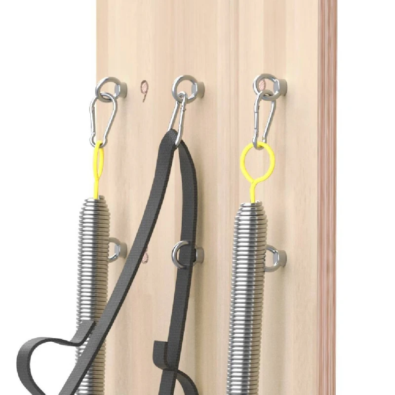 Spring Wall  PTX-2000  oak wood (Liveness)