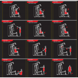 Πολυόργανο Pegasus® MS-600 Πολυόργανο Pegasus® MS-600