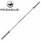 Pegasus Ολυμπιακή μπάρα 2000mm* 25mm (42CRMO/15kg)