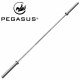 Pegasus Ολυμπιακή μπάρα 2000mm*28mm (15.4kg)