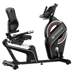 Pegasus® Καθιστό Ποδήλατο B15