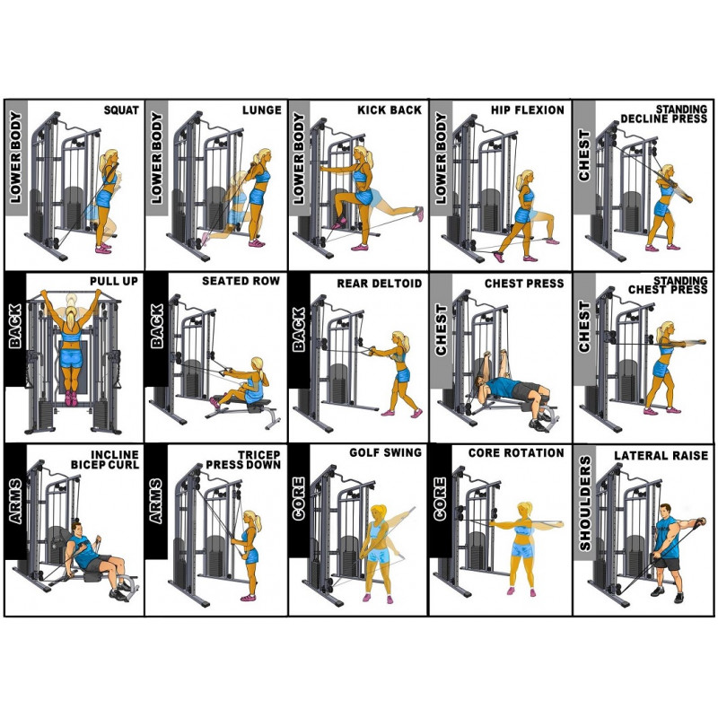 Pegasus® Functional Trainer Pro Pegasus® Functional Trainer Pro