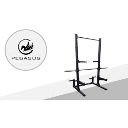 Half Rack Pegasus®  HR-G1 Half Rack Pegasus®  HR-G1