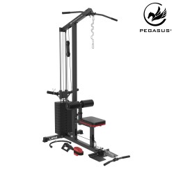 Pegasus® Τροχαλία Πλάτης LAT-60