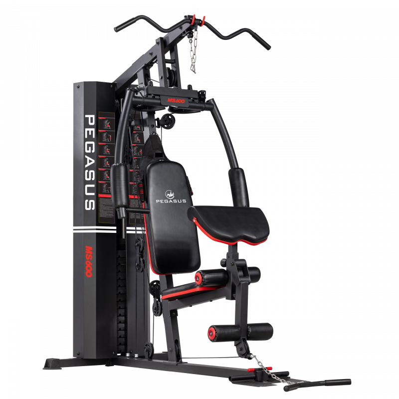 Πολυόργανο Pegasus® MS-600