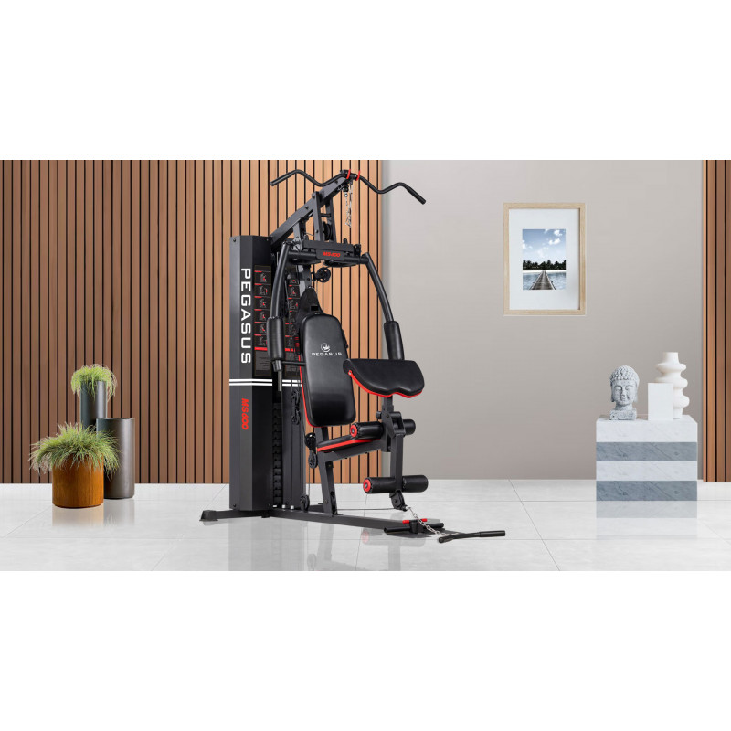 Πολυόργανο Pegasus® MS-600