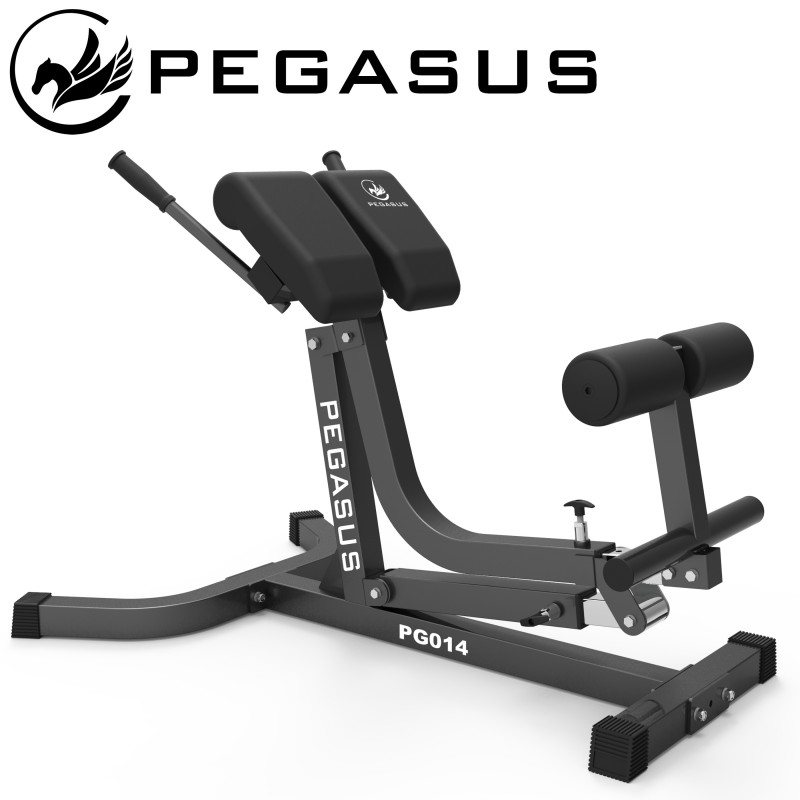 Pegasus® Πάγκος Ραχιαίων Ρυθμιζόμενος PG-014