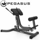 Pegasus® Πάγκος Ραχιαίων Ρυθμιζόμενος PG-014