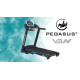 Διάδρομος Γυμναστικής Pegasus® V3N 3.0ΗΡ
