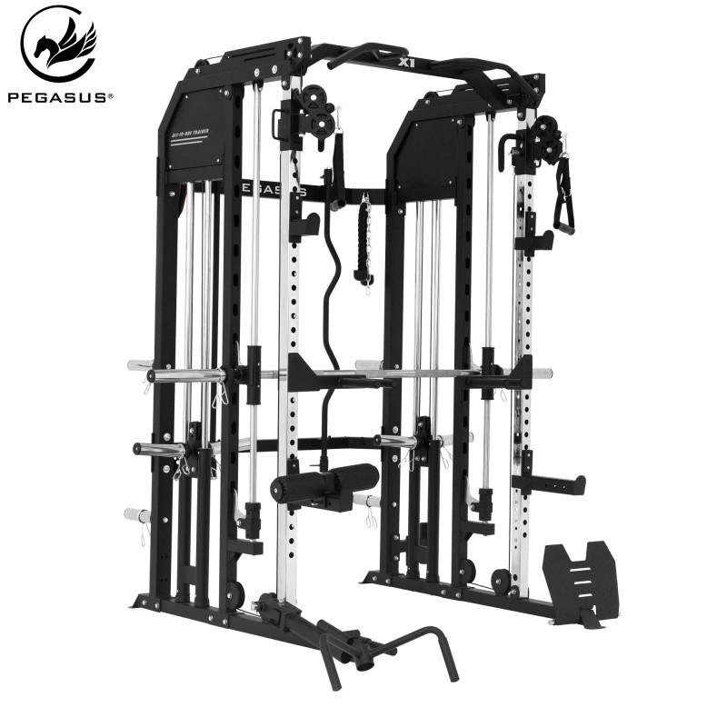 Pegasus® All-in-One Trainer X1 Pegasus® All-in-One Trainer X1