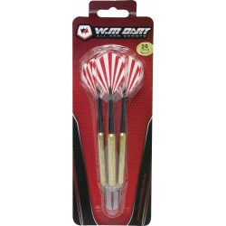 Βέλη με σιδερένια μύτη 20gr Βέλη με σιδερένια μύτη 20gr